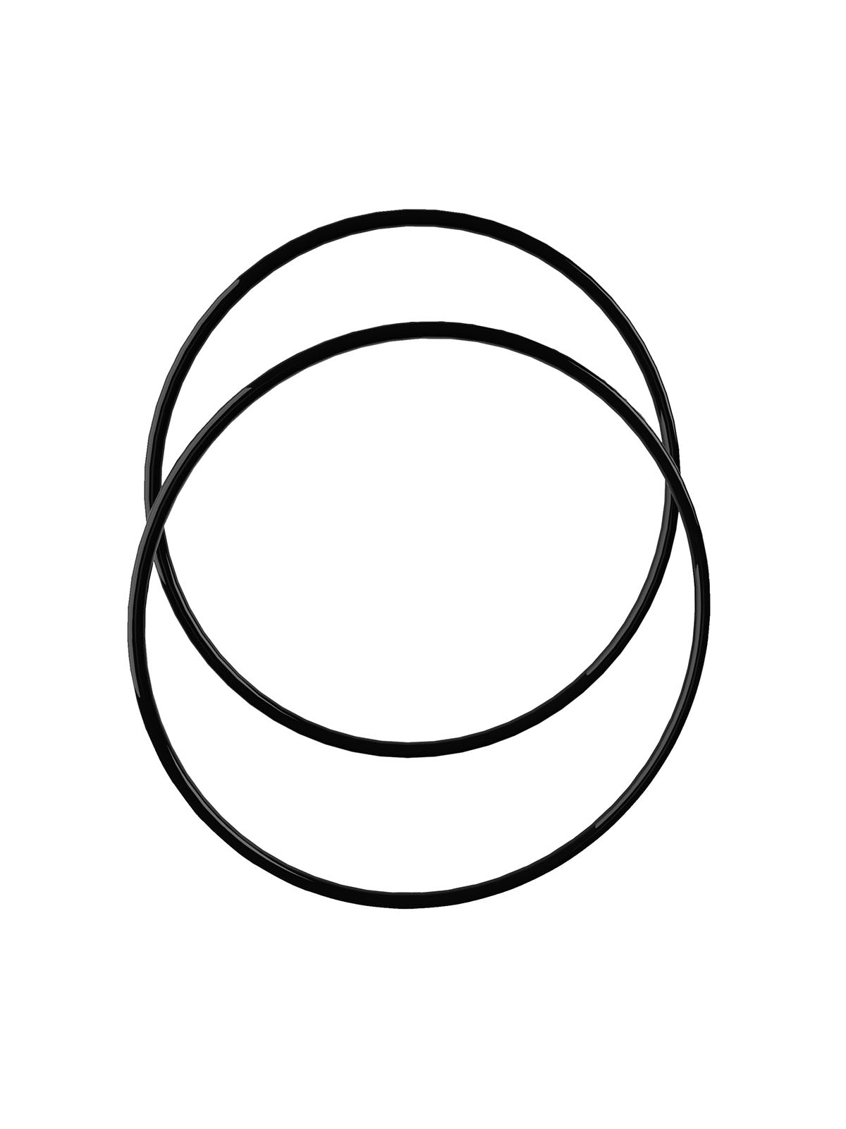 Purcooflow Replacement O-Ring Kit (Dual Seal) for WHF2045B / WHF2045B301/302/303 2-Pack